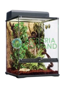 HABITAT KIT RAINFOREST  MEDIUM